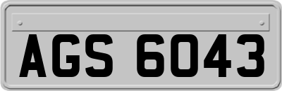 AGS6043