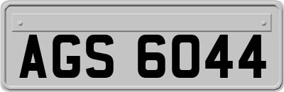 AGS6044