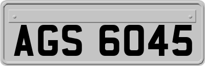 AGS6045