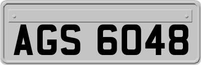 AGS6048