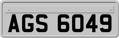 AGS6049
