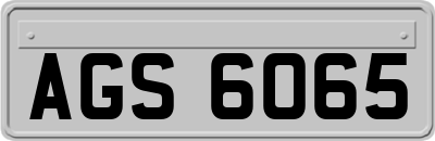 AGS6065