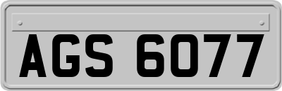 AGS6077