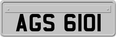 AGS6101