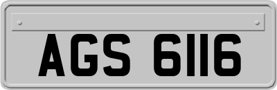 AGS6116