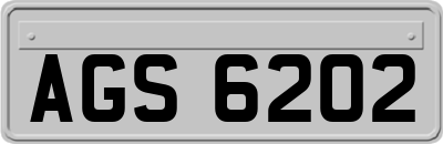AGS6202