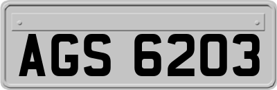 AGS6203