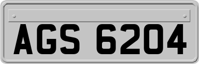 AGS6204