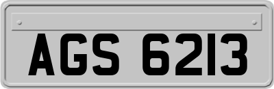 AGS6213