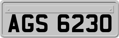 AGS6230