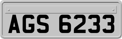 AGS6233