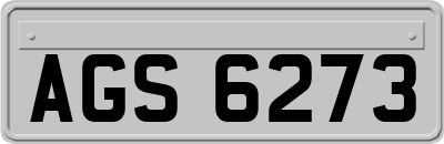 AGS6273