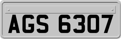 AGS6307