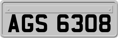 AGS6308