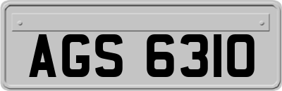 AGS6310