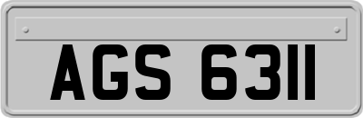 AGS6311