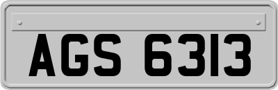 AGS6313