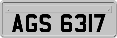 AGS6317