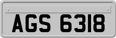 AGS6318