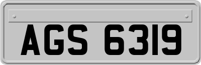 AGS6319