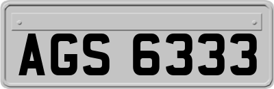 AGS6333