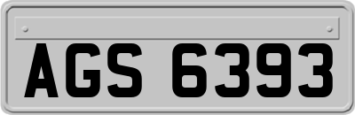 AGS6393
