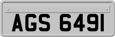 AGS6491