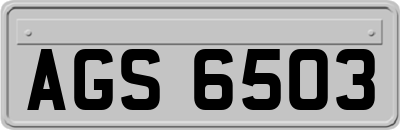 AGS6503