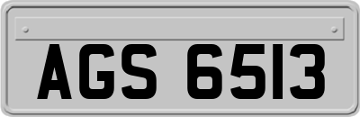 AGS6513
