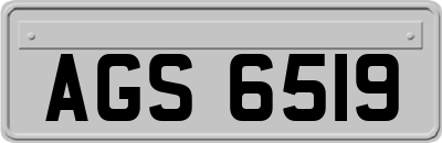 AGS6519