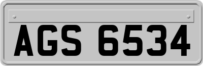 AGS6534