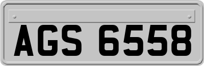 AGS6558