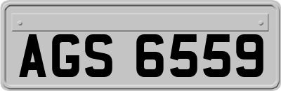 AGS6559
