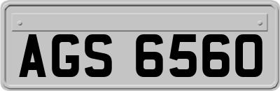 AGS6560