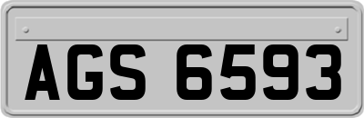 AGS6593