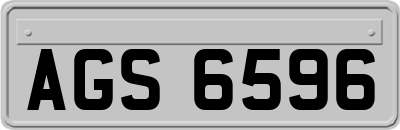 AGS6596