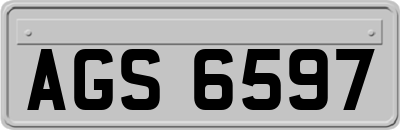 AGS6597