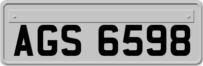 AGS6598