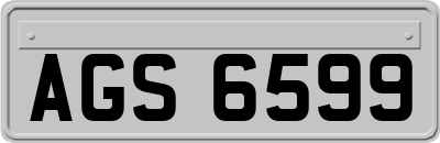 AGS6599