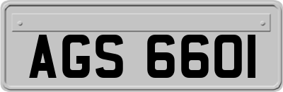 AGS6601