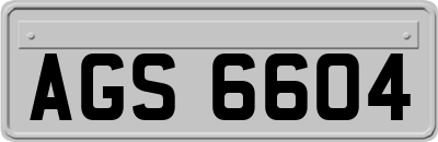 AGS6604