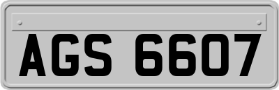 AGS6607