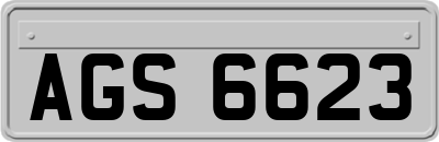 AGS6623