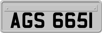 AGS6651