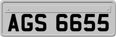 AGS6655