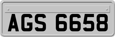 AGS6658