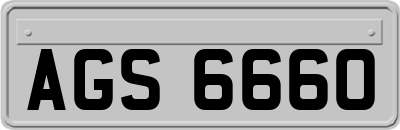 AGS6660