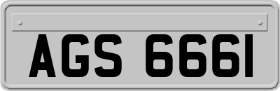 AGS6661