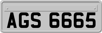 AGS6665