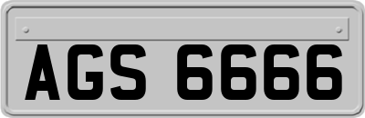 AGS6666